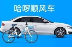 【5分钟教程】洛阳公司咨询服务电话_哔哩哔哩-2